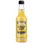 SHOT DE JENGIBRE 250ML NATURFRISK
