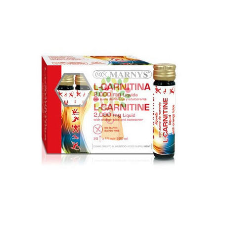 L-CARNITINA 2000  20 VIALES MARNYS