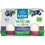 YOGUR DE CABRA CON ARÁNDANOS 2×125G CANTERO DE LETUR