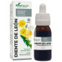 EXTRACTO DE DIENTE DE LEÓN 50ML SORIA NATURAL