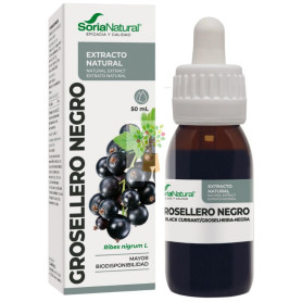 EXTRACTO DE GROSELLERO NEGRO 50ML SORIA NATURAL
