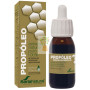 EXTRACTO DE PROPÓLEO HIDROALCOHÓLICO 50ML SORIA NATURAL