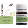 OREGANO BIO 60 PERLAS PRANAROM