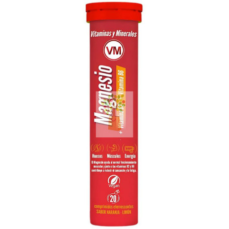 MAGNESIO + VIT B2 + VIT B6 20 TABLETAS EFERVESCENTES YNSADIET