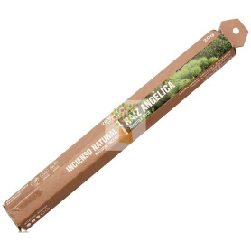INCIENSO NATURAL DE RAÍZ ANGÉLICA 20 STICKS SYS