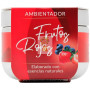 AMBIENTADOR TARRO DE ALUMINIO FRUTOS ROJOS 30G SYS