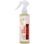 AMBIENTADOR SPRAY RED BERRIES 250ML SYS