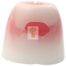 VELA EMOCIONAL ARTESANA ROJA 100% VEGETAL ORO DE LOS ANDES