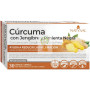 CÚRCUMA + JENGIBRE + PIMIENTA NEGRA 30 CÁPSULAS NATYSAL