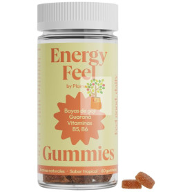 ENERGY FEEL 60 GOMINOLAS PLAMECA