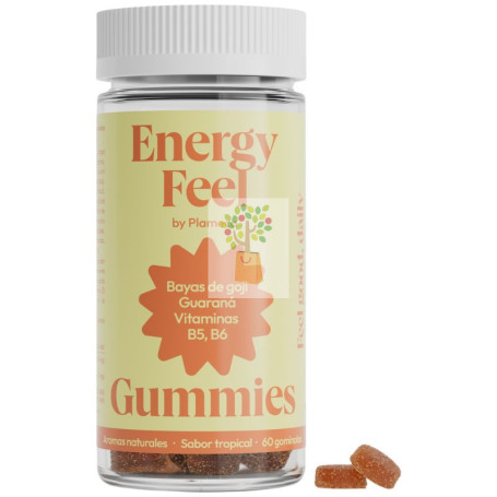 ENERGY FEEL 60 GOMINOLAS PLAMECA