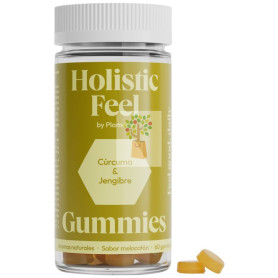 HOLISTIC FEEL 60 GOMINOLAS PLAMECA