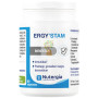 ERGYSTAM 60 CÁPSULAS NUTERGIA