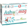 ASHW&MAG 30 CAPSULAS PINISAN