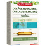 COLAGENO MARINO CON ACEROLA 20 AMPOLLAS SUPERDIET
