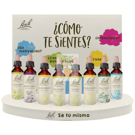 PACK SINGLES PRIMAVERA BACH