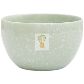 ACCESORIOS PARA TÉ MATCHA: CUENCO CEREMONIAL VERDE BIOTONA