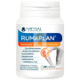 RUMAPLAN 60 CÁPSULAS NATYSAL