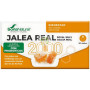 JALEA REAL 2000 CON PROBIÓTICOS 20 VIALES SORIA NATURAL