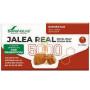 JALEA REAL 5000 CON PROBIÓTICOS 20 VIALES SORIA NATURAL