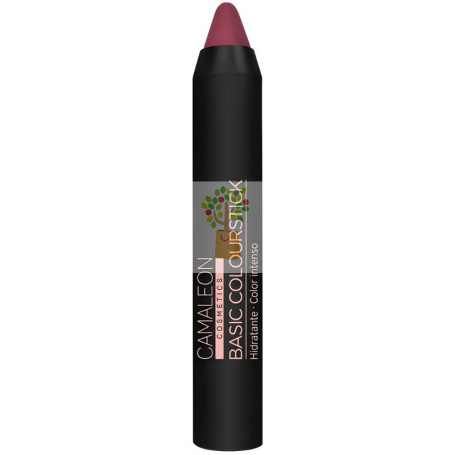 PINTALABIOS BASIC COLOURSTICK NUDE MARRÓN CAMALEON
