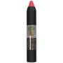 PINTALABIOS BASIC COLOURSTICK CORAL CAMALEON
