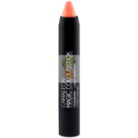 PINTALABIOS BASIC COLOURSTICK MELOCOTÓN CAMALEON