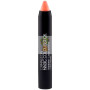 PINTALABIOS BASIC COLOURSTICK MELOCOTÓN CAMALEON