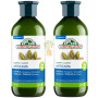 CHAMPÚ ANTICASPA 300+300ML CORPORE SANO