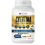 CREATINA 225G NATYSAL