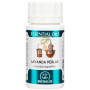 ESSENTIAL OILS LAVANDA 60 PERLAS EQUISALUD