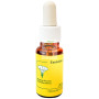 PASIONARIA FLOR 20Ml ESENCIAS DEL MEDITERRÁNEO