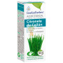 ACEITE ESENCIAL DE CITRONELA DE CEILÁN 100ML ESENTIAL AROMS