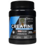 CREATINA 200MESH SABOR NEUTRO 500G DRASANVI SPORT LIVE