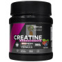 CREATINA 200MESH FRUTOS DEL BOSQUE 300G DRASANVI SPORT LIVE