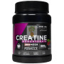 CREATINA 200MESH FRUTOS DEL BOSQUE 500G DRASANVI SPORT LIVE