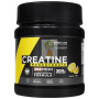 CREATINA 200MESH LIMÓN 300G DRASANVI SPORT LIVE