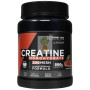 CREATINA 200MESH SANDÍA 500G DRASANVI SPORT LIVE
