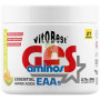 GFS AMINOS EN POLVO SABOR MELÓN 340G VIT.O.BEST