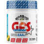 GFS AMINOS EN POLVO SABOR MENTA TROPICAL 500G VIT.O.BEST