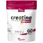CREATINA 200 MESH 270G PINISAN