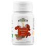 REISHI BIO 45 CÁPSULAS VEGETALES VIT.O.BEST
