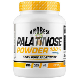 PALATINOSE SABOR NEUTRO 2KG VIT.O.BEST