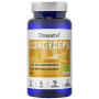 CORDYCEPS BIO 90 CÁPSULAS DRASANVI