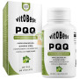 PQQ 60 CÁPSULAS VEGETALES VIT.O.BEST
