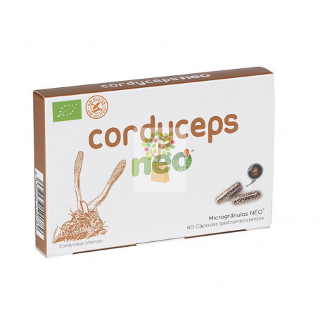 CORDYCEPS 60 CAPSULAS MICONEO