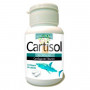 CARTISOL 90 CAPSULAS YNSADIET