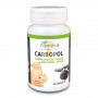 CARBOPOL (CARBON VEGETAL) 60 CAPSULAS PLANTA POL