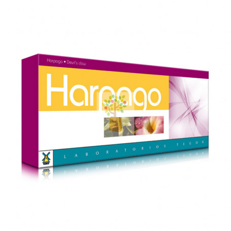 HARPAGO 40 CAPSULAS TEGOR