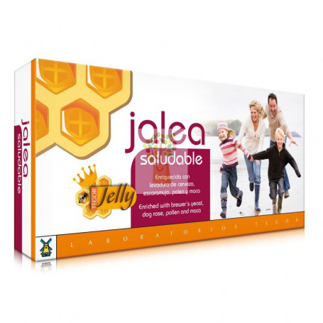 JALEA SALUDABLE 20 VIALES DE 10ML. TEGOR